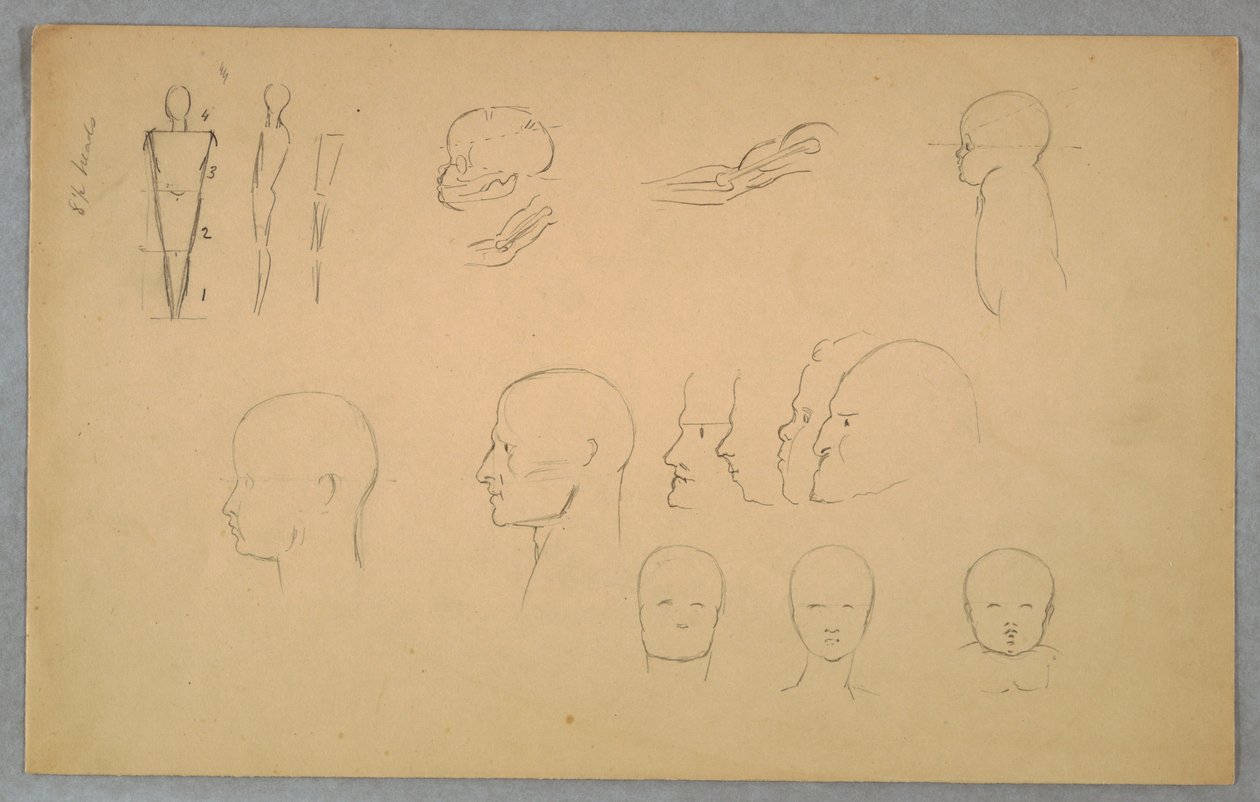 Anatomiska studier av Frederic Edwin Church