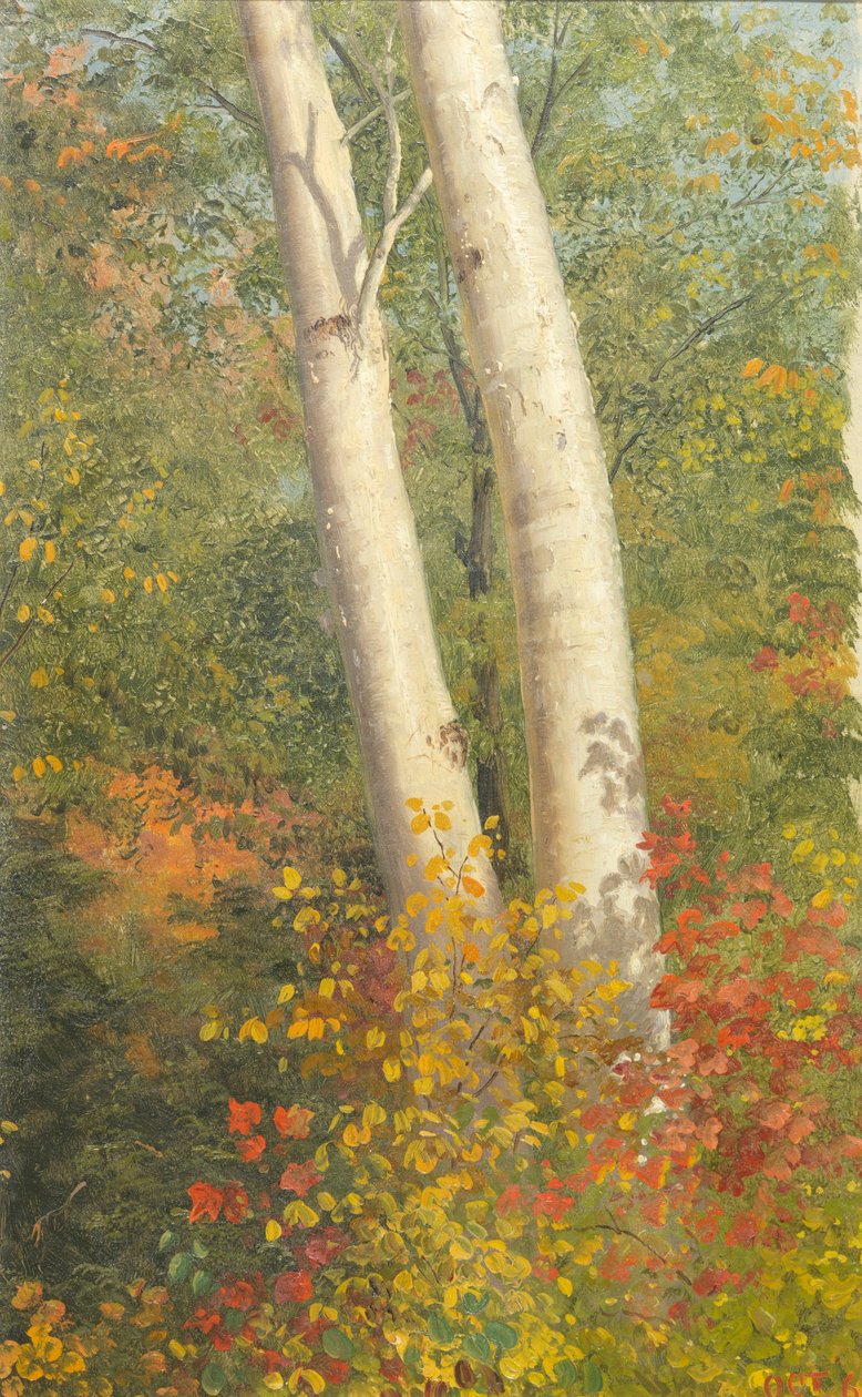 Björkträd på hösten av Frederic Edwin Church