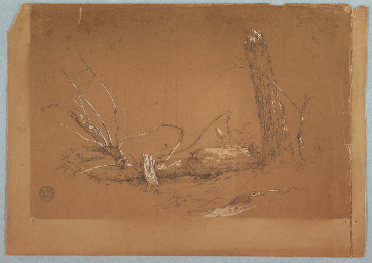 Teckning, Ett brutet dött träd, 1855-65 av Frederic Edwin Church