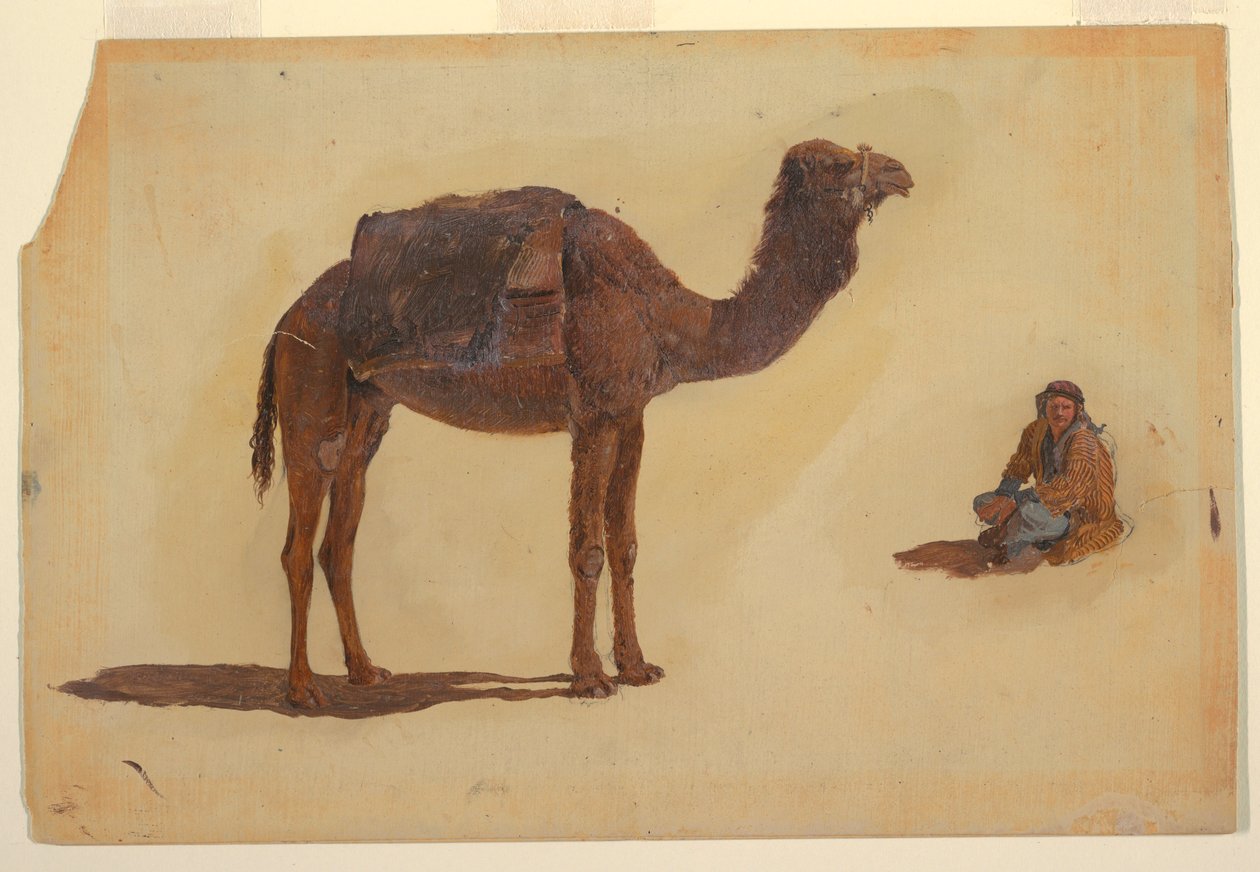 Teckning, studie av en dromedar, 1868 av Frederic Edwin Church
