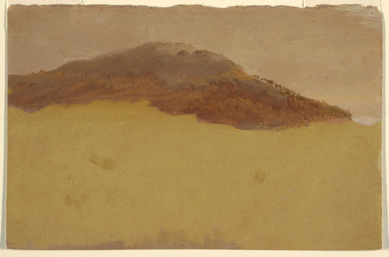Teckning, Skogsbeklädd sluttning, 1870-80 av Frederic Edwin Church