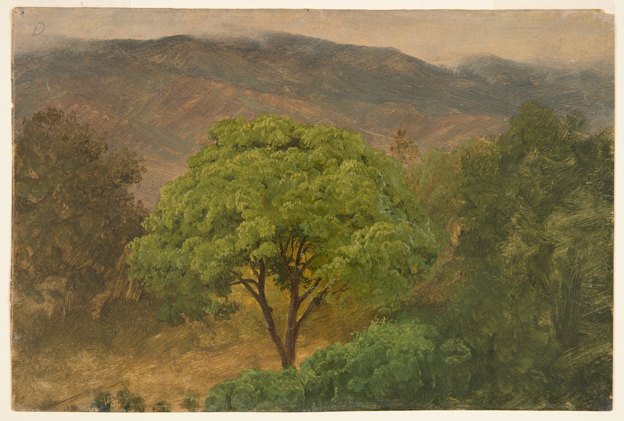 Genip-träd i bergen, Jamaica av Frederic Edwin Church