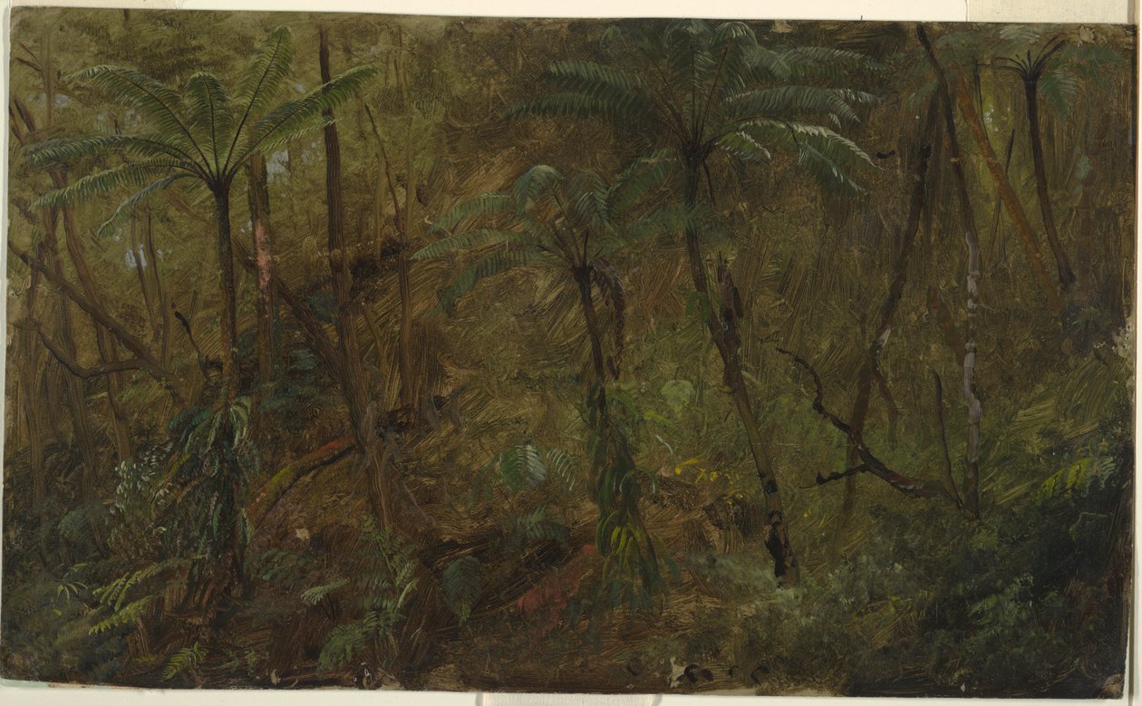 I skogen, Jamaica av Frederic Edwin Church