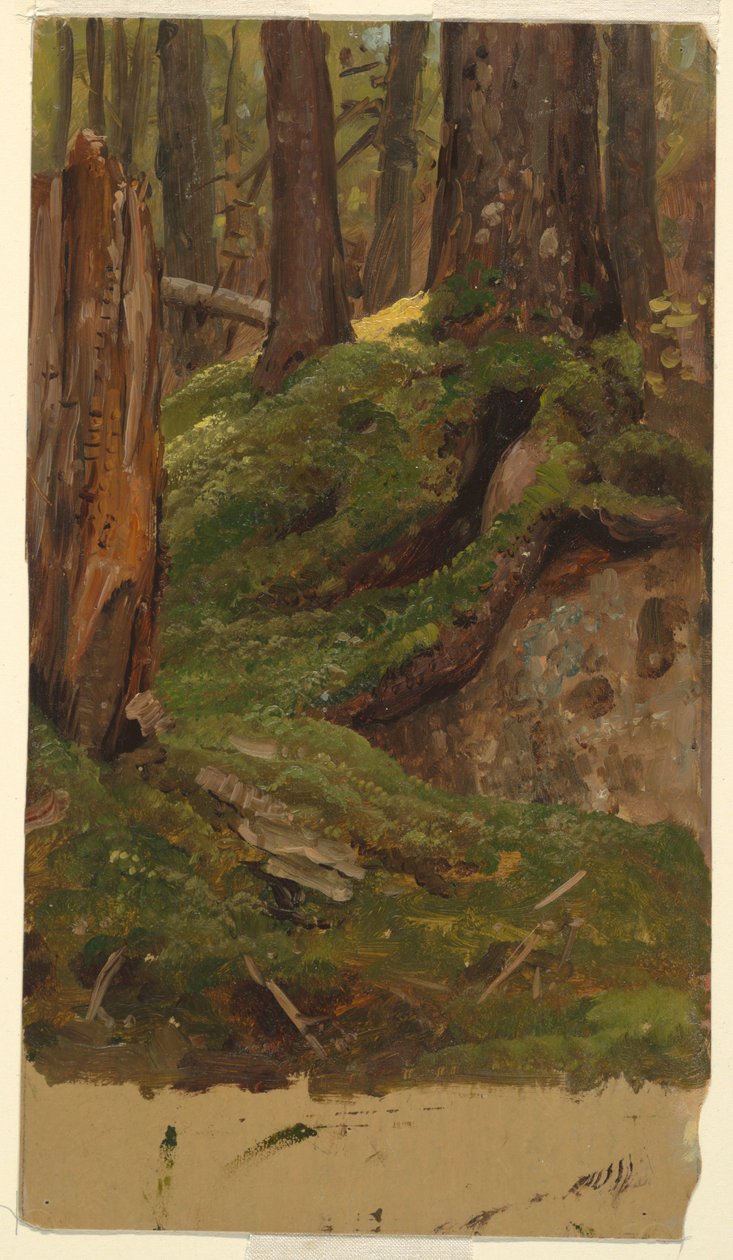 Maine ? skogen av Frederic Edwin Church
