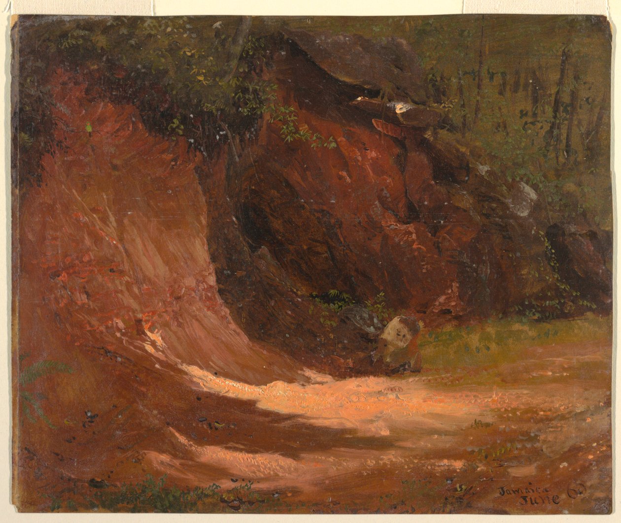 Woodland Bank, Jamaica av Frederic Edwin Church