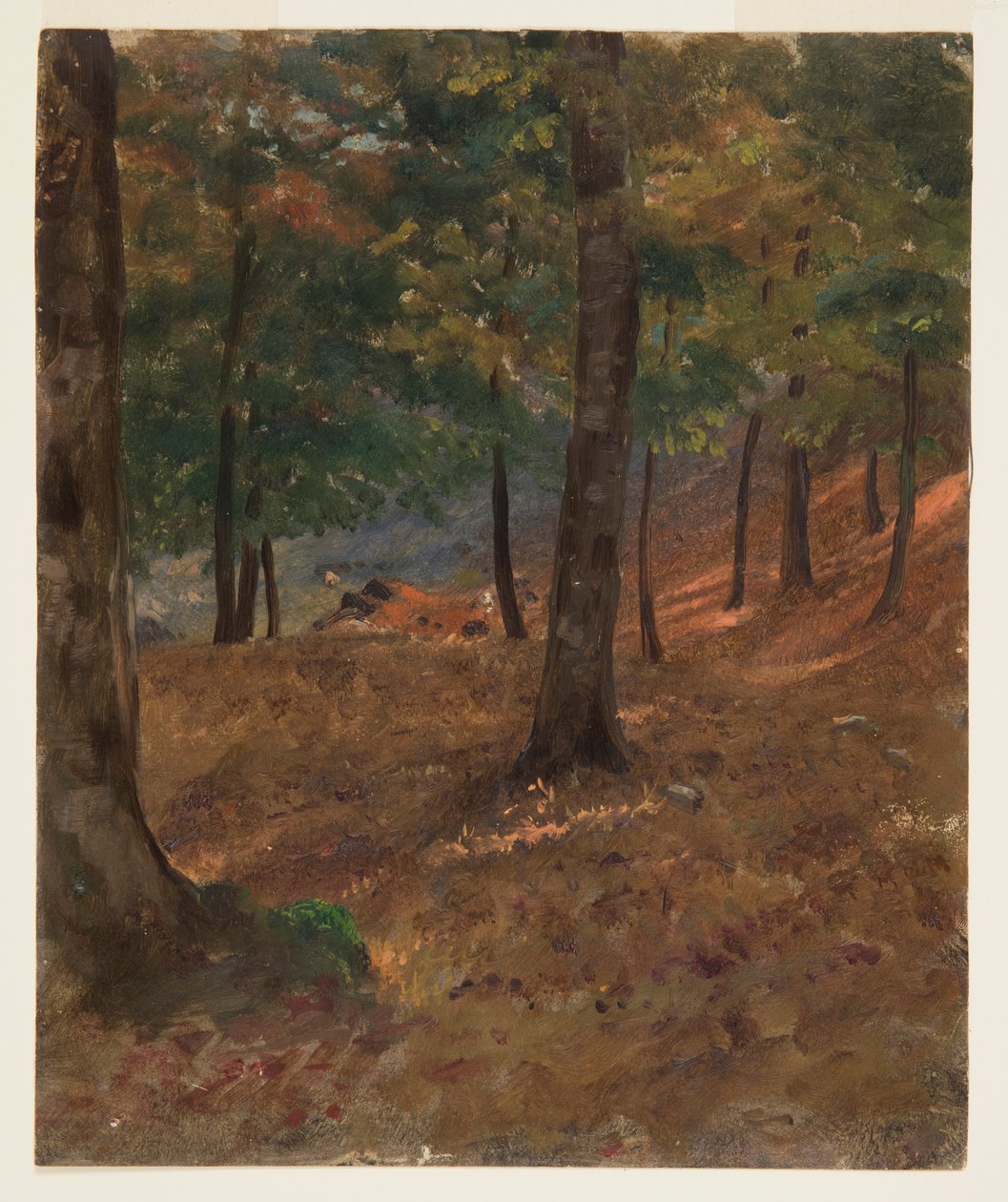 Skogsscen av Frederic Edwin Church