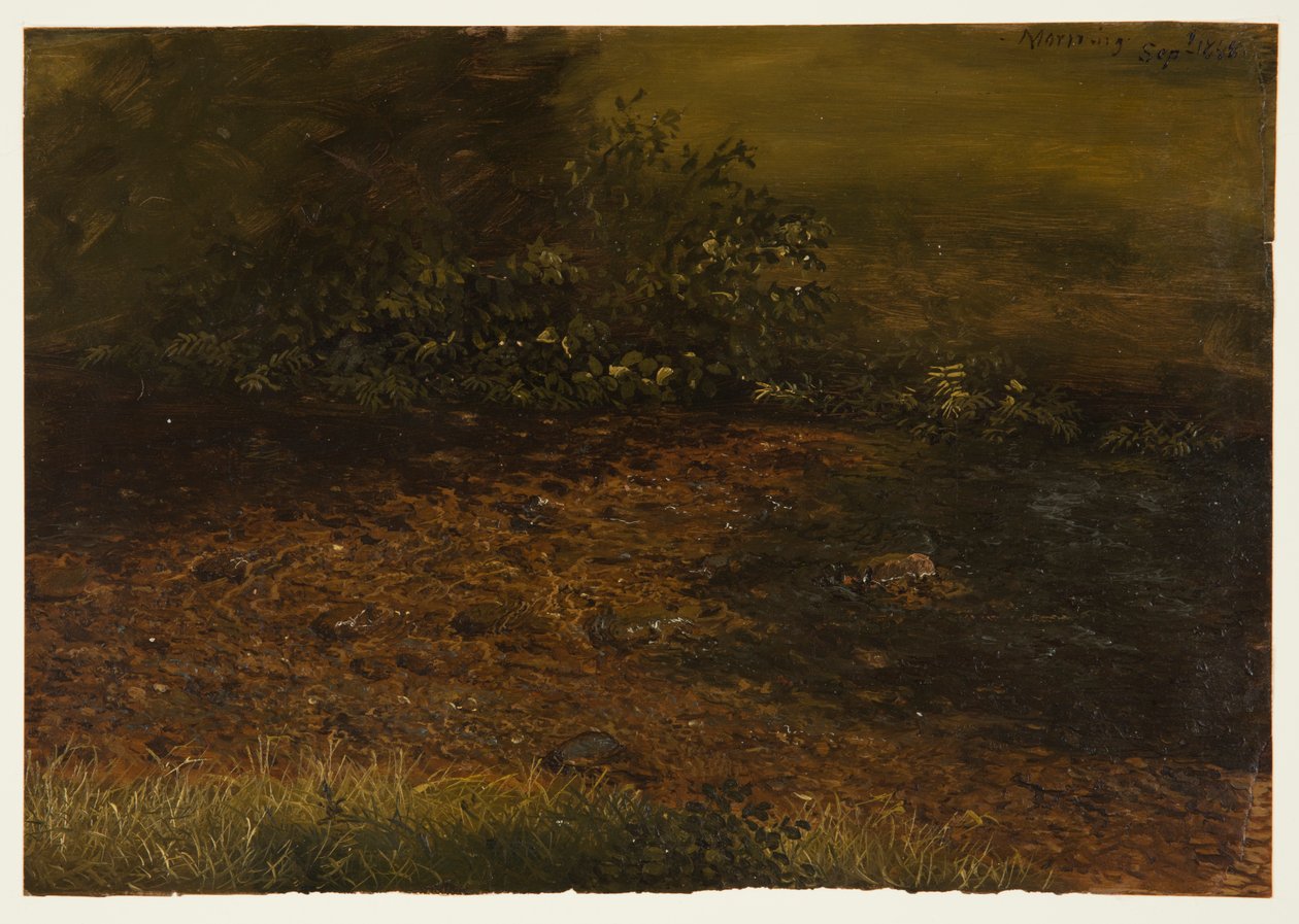 Skogsbäck i Catskills av Frederic Edwin Church