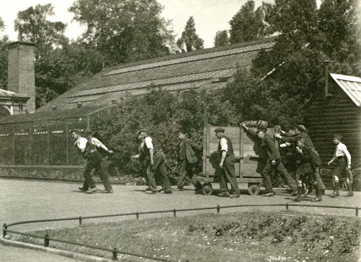 Ett team män flyttar leoparden i en trälåda, följt av två pojkar, London Zoo, 1922 (bw-foto) av Frederick William Bond