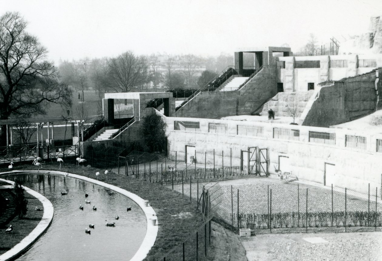 Inhägnader framför Mappin Terraces, London Zoo, 1922 av Frederick William Bond