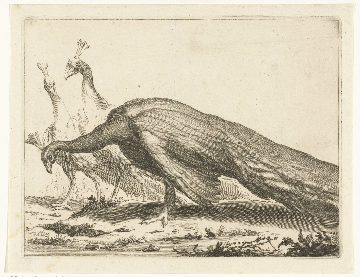 swedish av Frederick Bloemaert