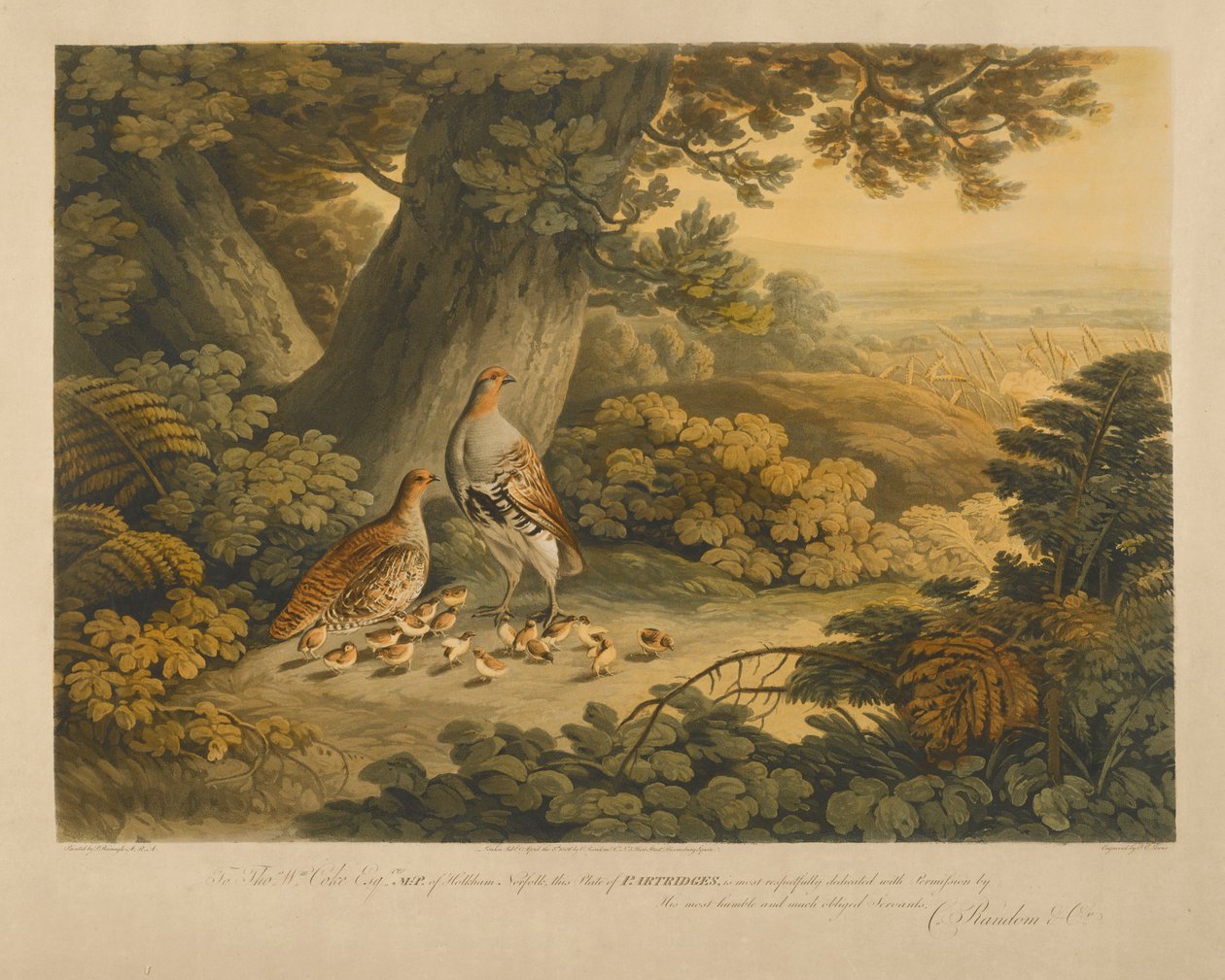 swed av Frederick Christian Lewis