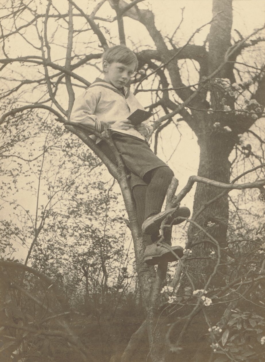 [Evan Evans] av Frederick H. Evans