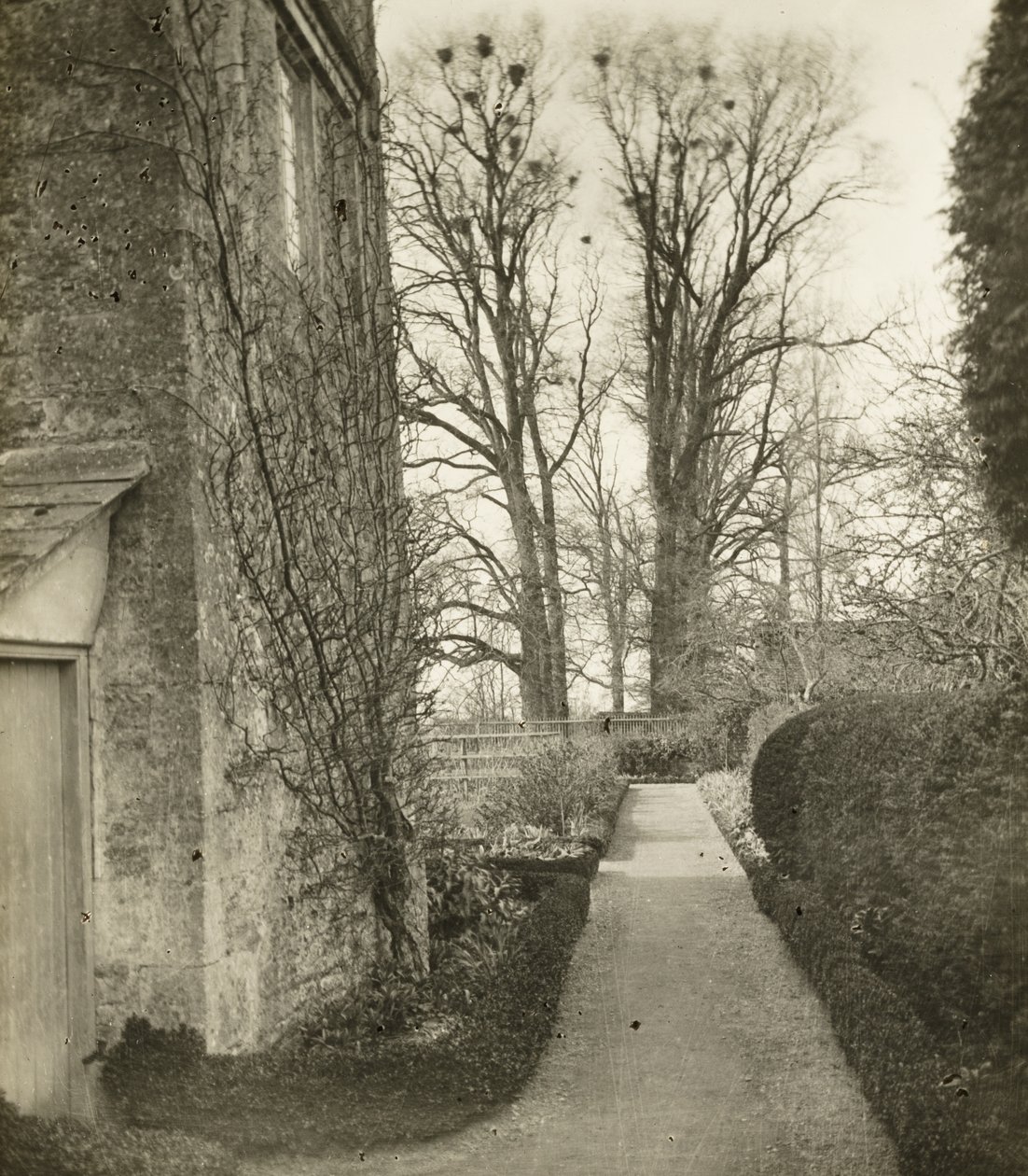 Kelmscott Manor: I trädgården av Frederick H. Evans