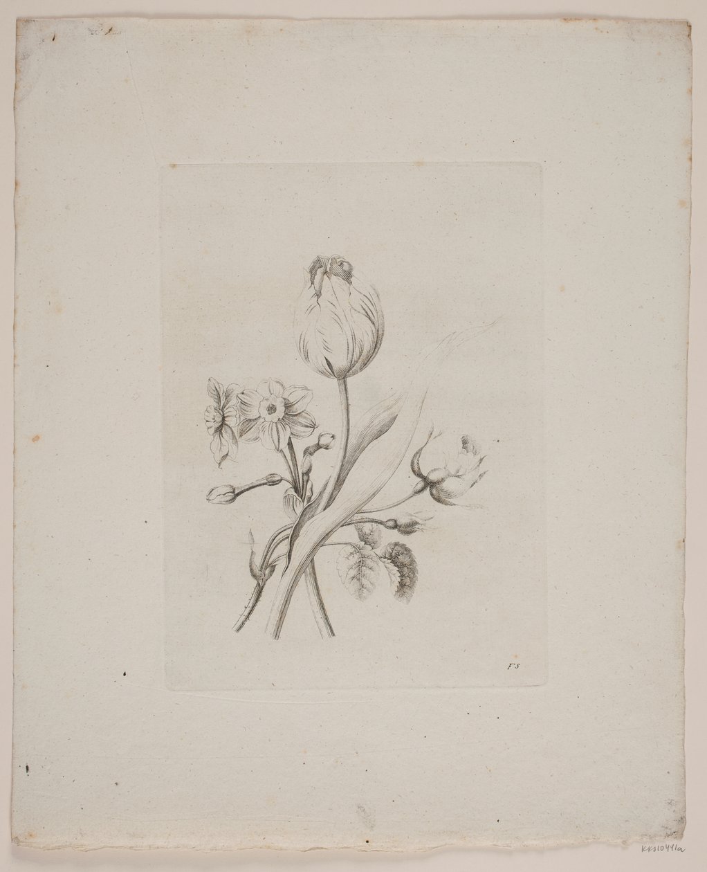 Blommotiv av Frederik Schepelern