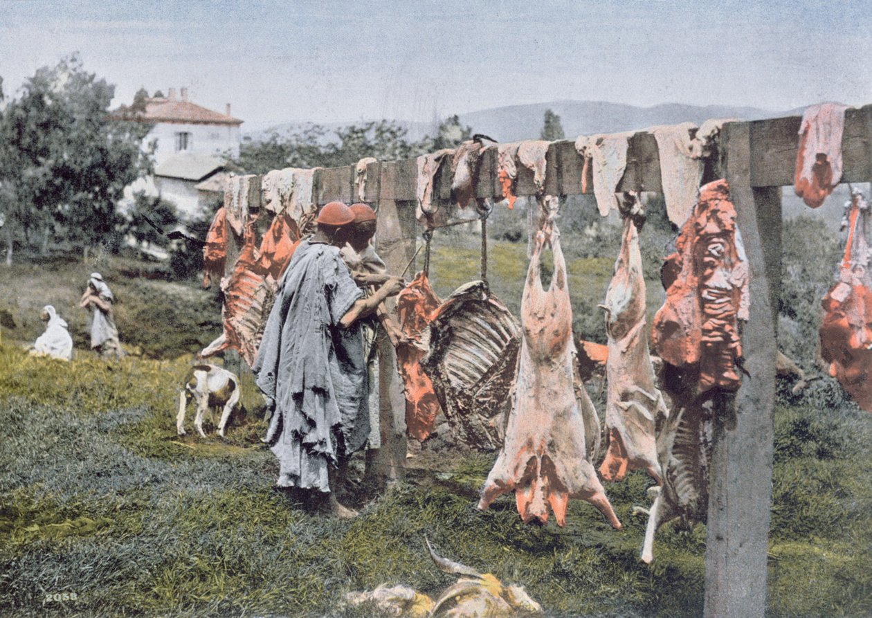 Arabiskt slakteri i Algeriet, sent 1800-tal av French Photographer