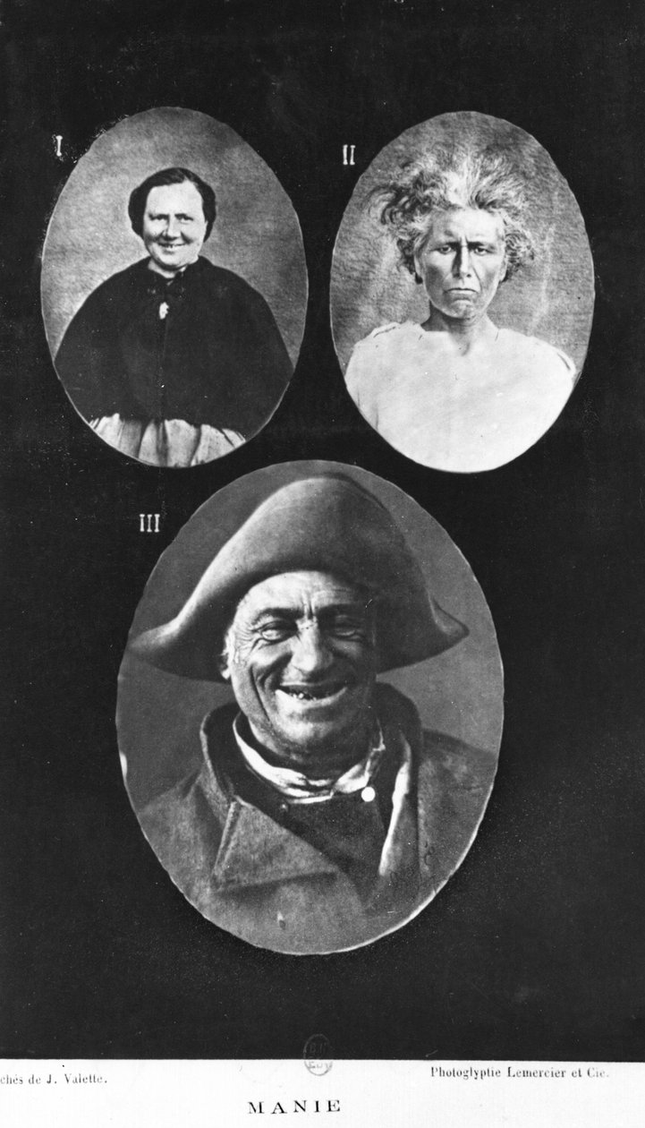 Mania, illustration från Ny elementär och praktisk avhandling om psykiska sjukdomar av Henri Dagonet (1823-1902) Paris, Bailliere, 1876 av French Photographer