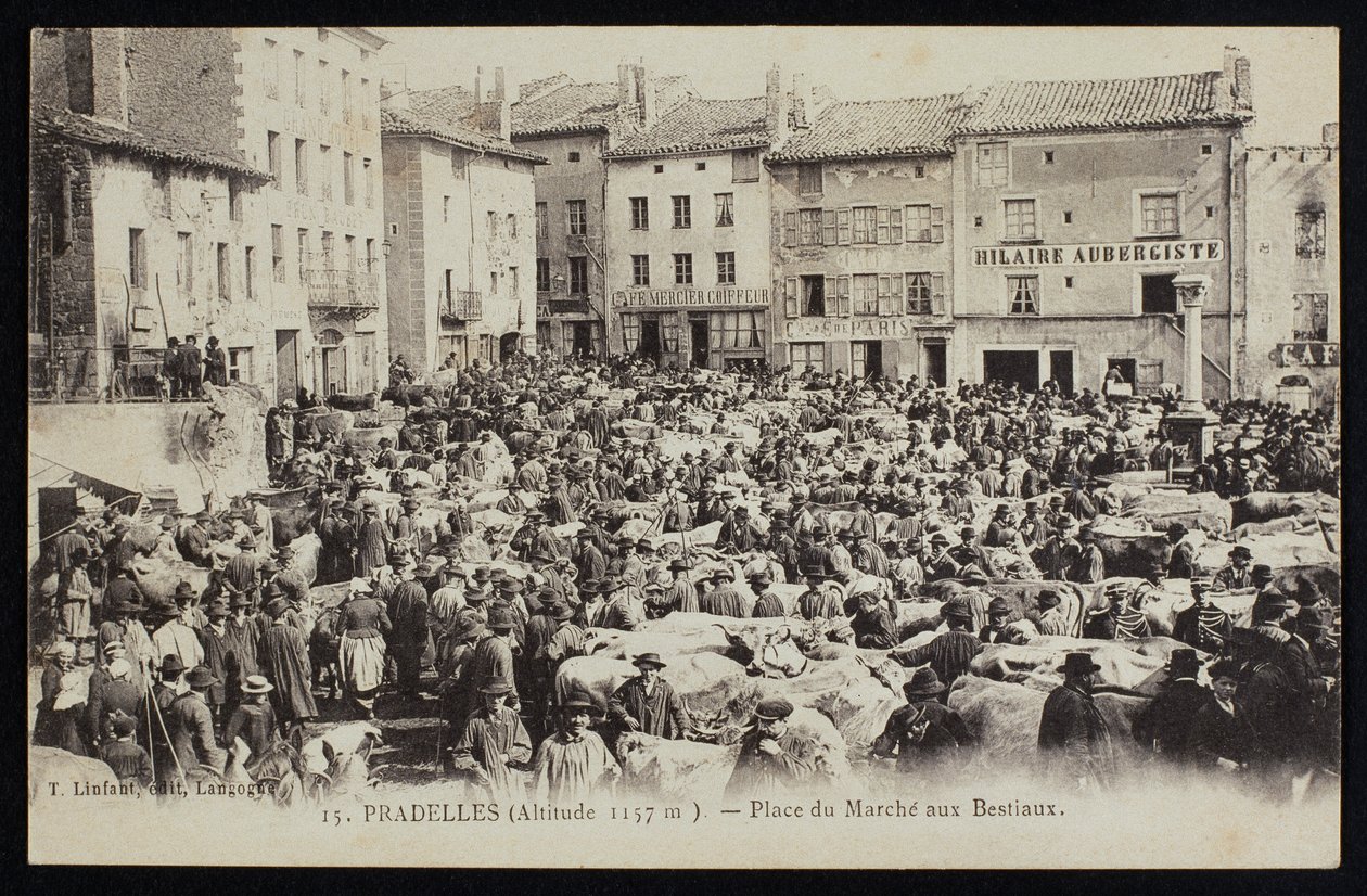 Vykort föreställande boskapsmarknaden i Pradelles, ca 1900 av French Photographer