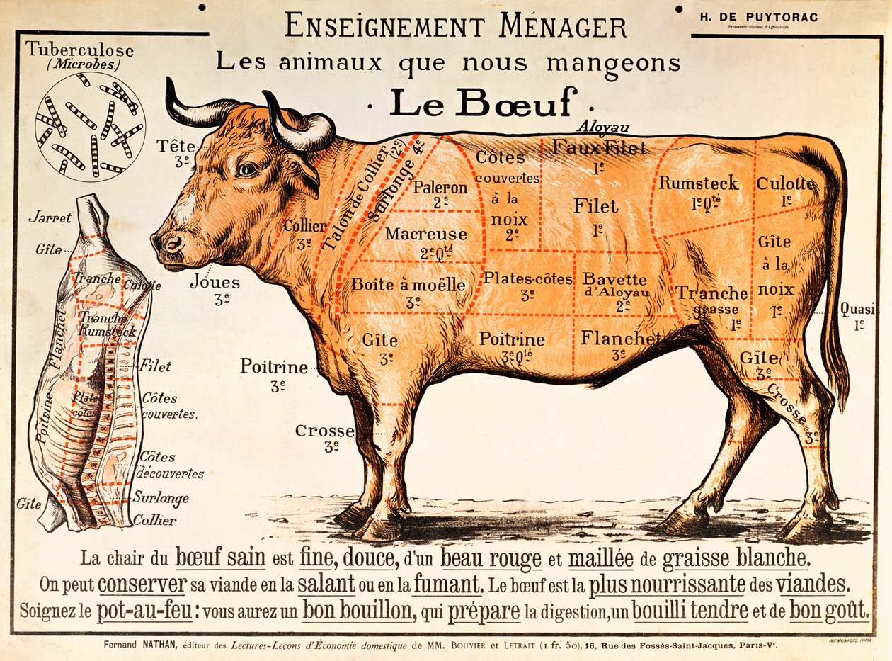 Nötkött: diagram som visar de olika köttbitarna av French School