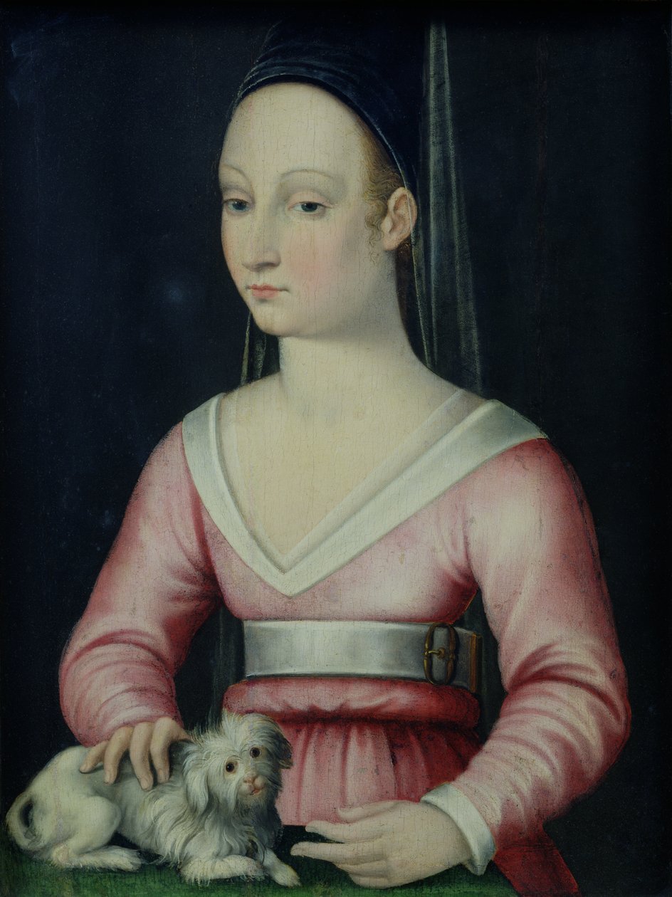 Porträtt av Agnes Sorel av French School