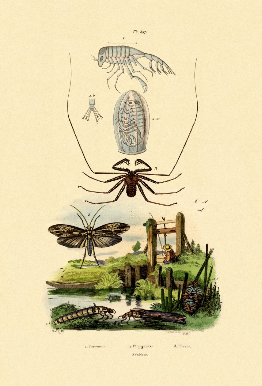 Barnvagn Bug Amphipod, 1833-39 av French School