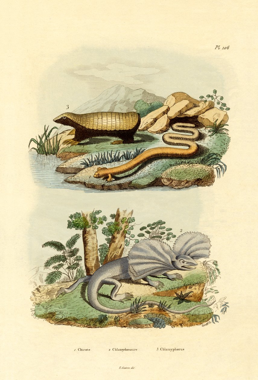 Masködla, 1833-39 av French School