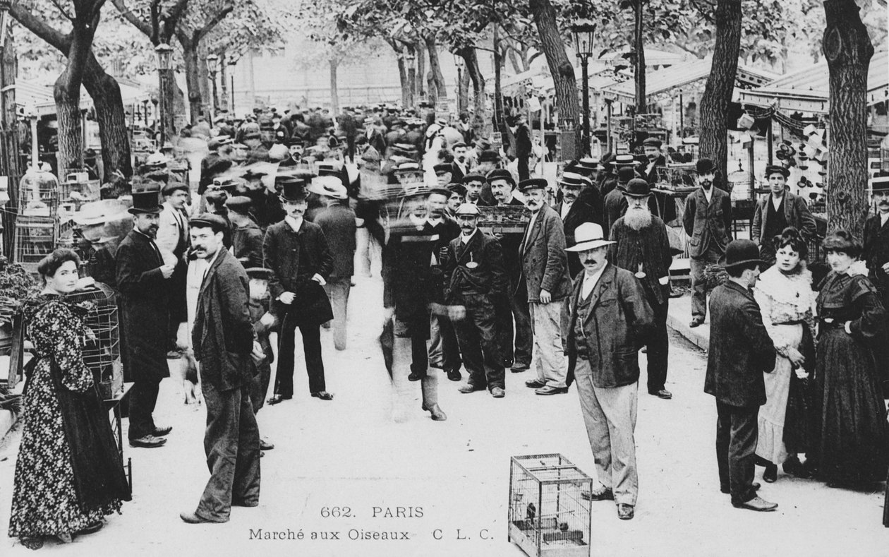 Fågelmarknad, Paris av French Photographer