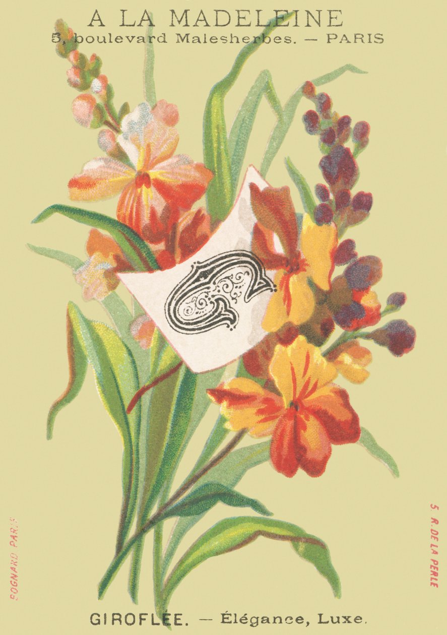 G: Girofle - Elegans, Lyx av French School