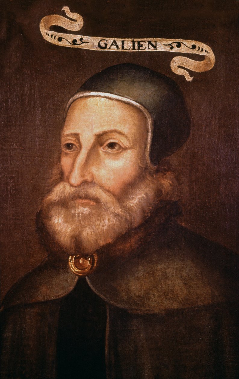 Galen. 1600-talet (målning) av French School