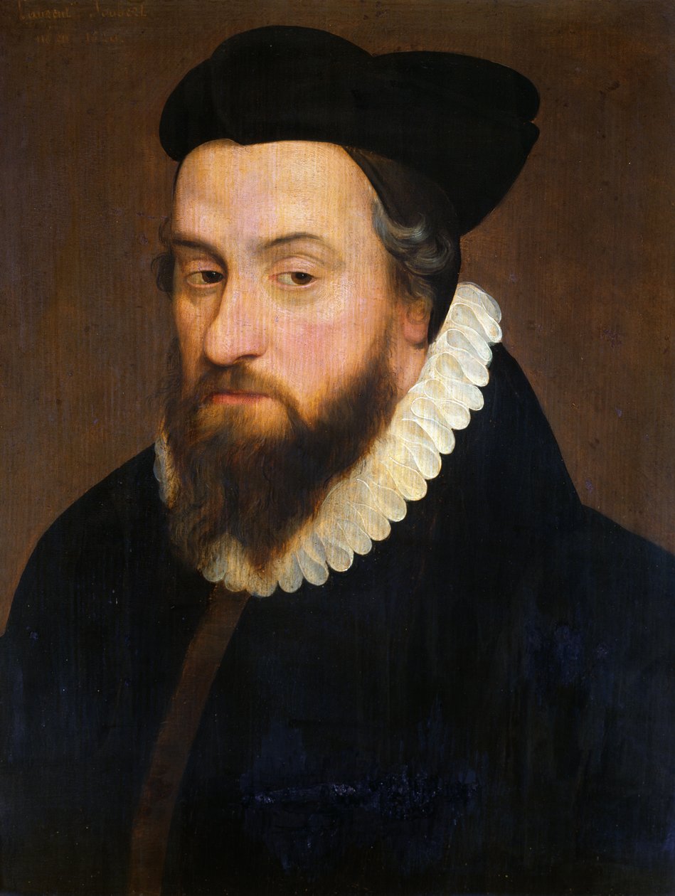 Laurent Joubert (1529-83) av French School