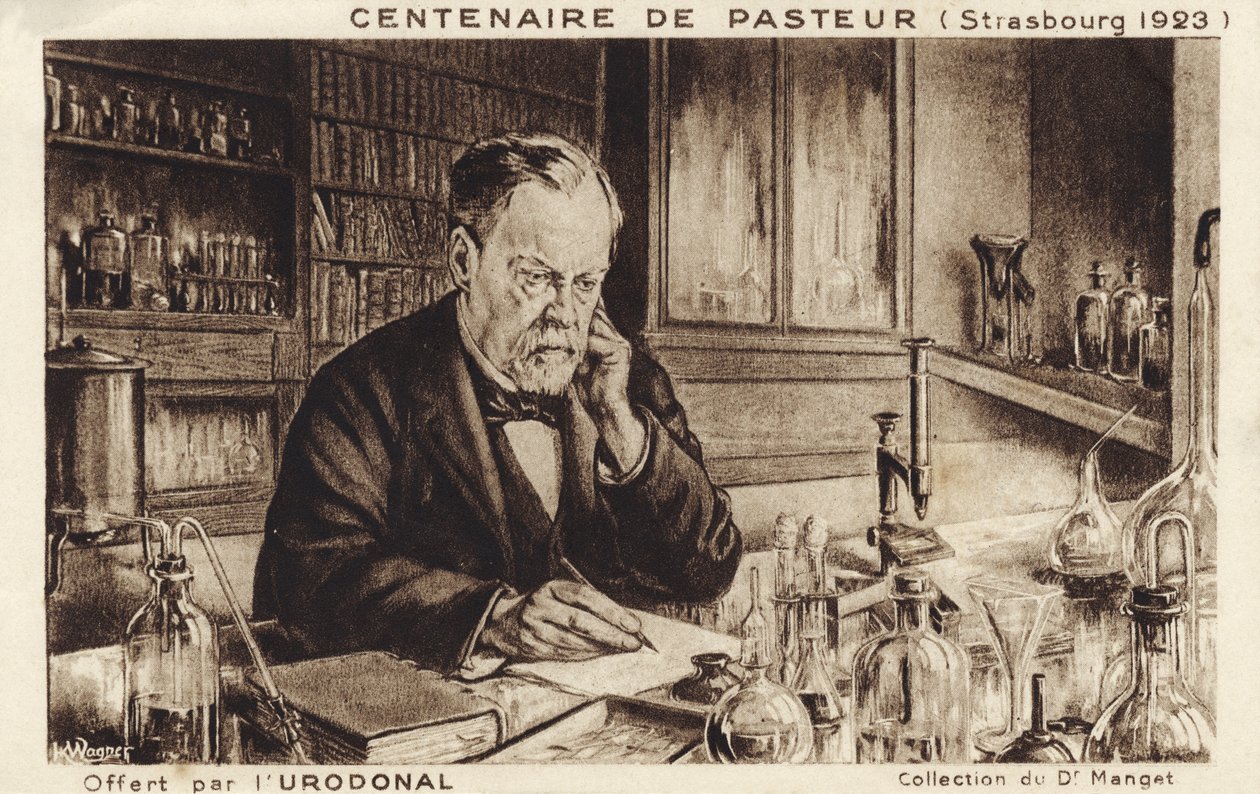 Louis Pasteur av French School
