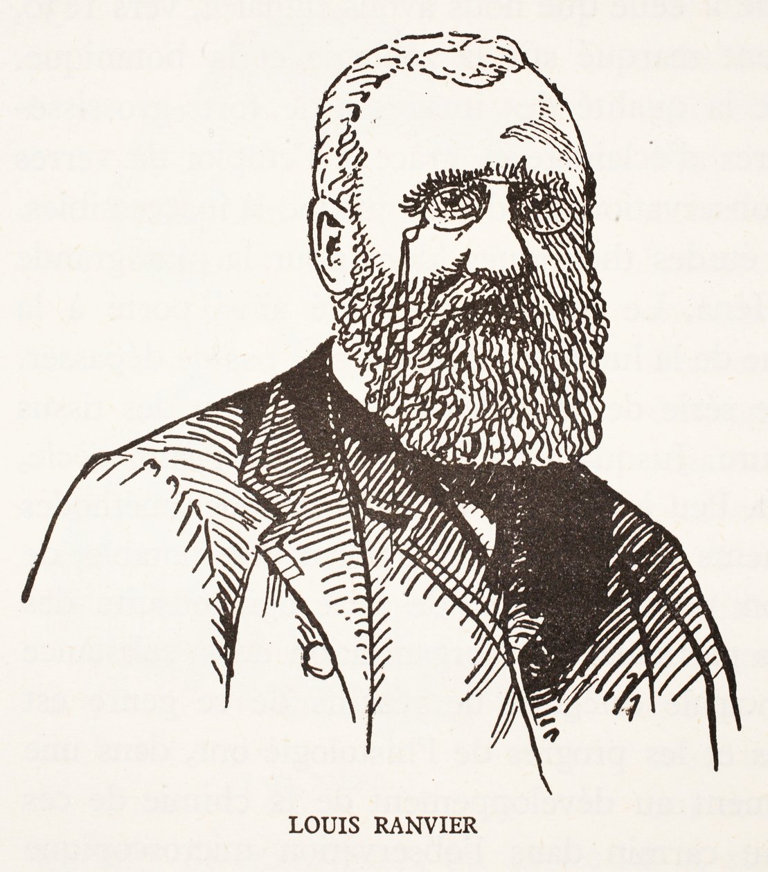 Louis Ranvier av French School