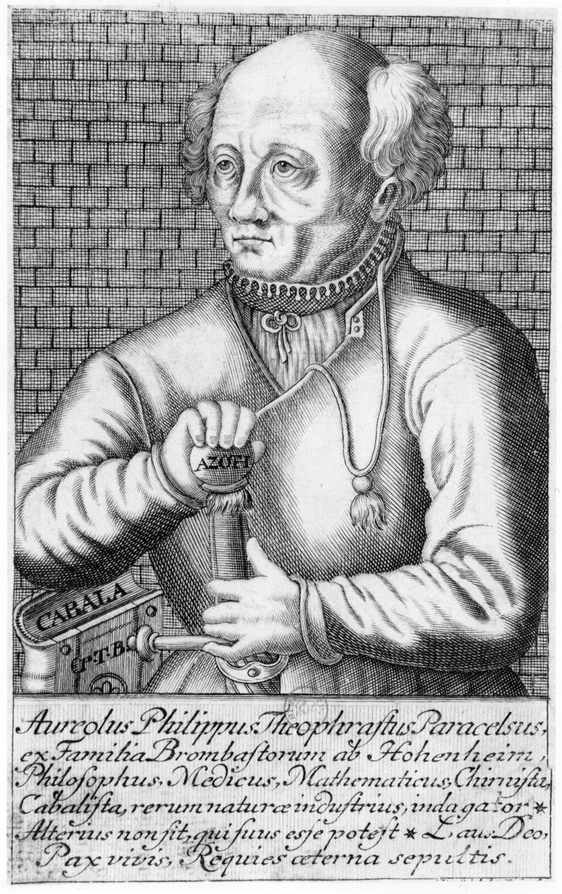 Paracelse (1493-1541) av French School
