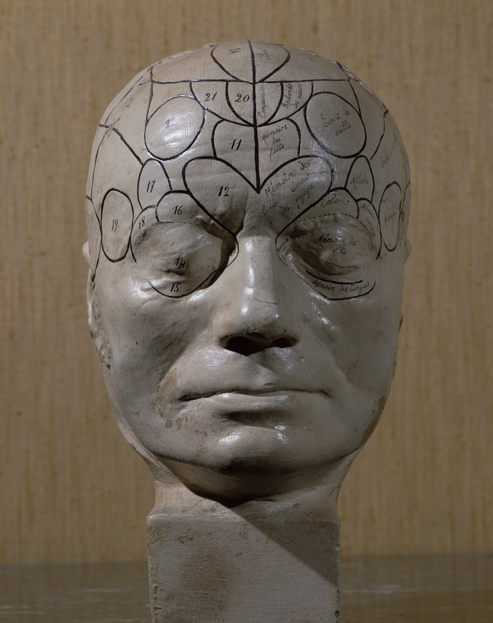 Frenologiskt huvud av Jean Martin Charcot (keramik) av French School