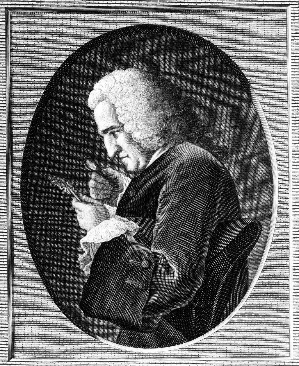 Porträtt av Bernard de Jussieu (1699-1777) av French School