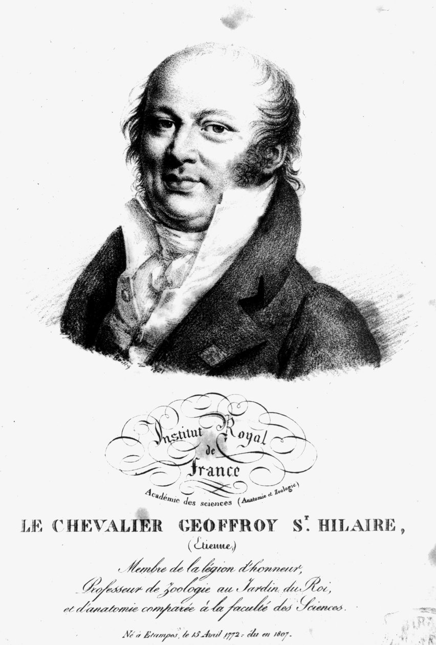 Porträtt av Etienne Geoffroy Saint-Hilaire (1722-1844) av French School
