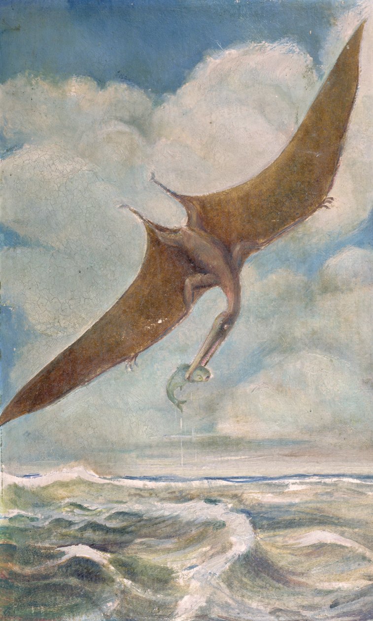 Pterodactyl fiske av French School