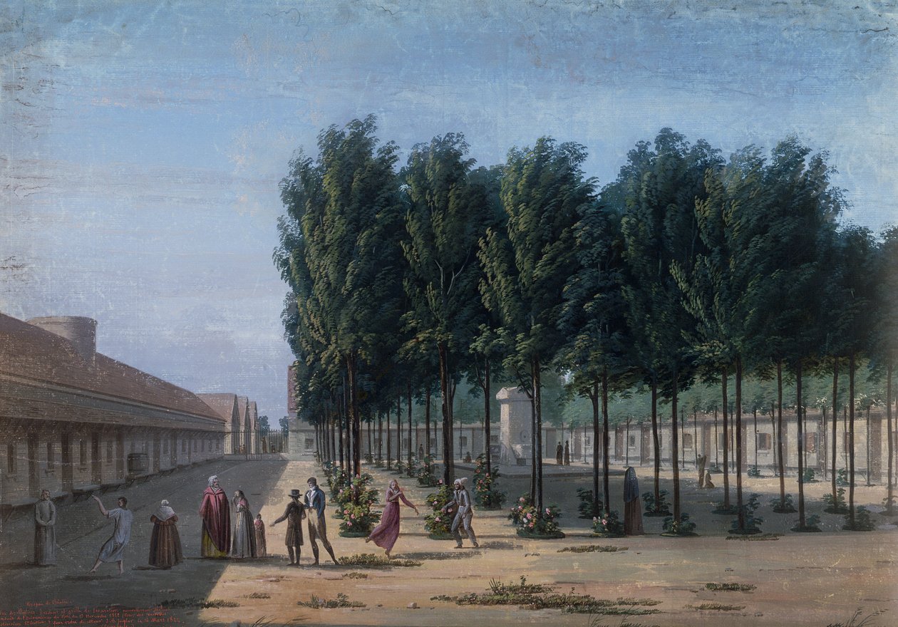 Bicetre-asylet i Paris av French School
