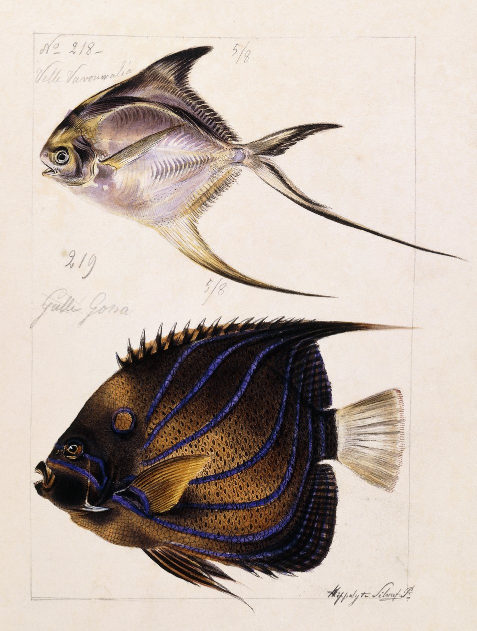 Velle... Etc, c.1850 av French School