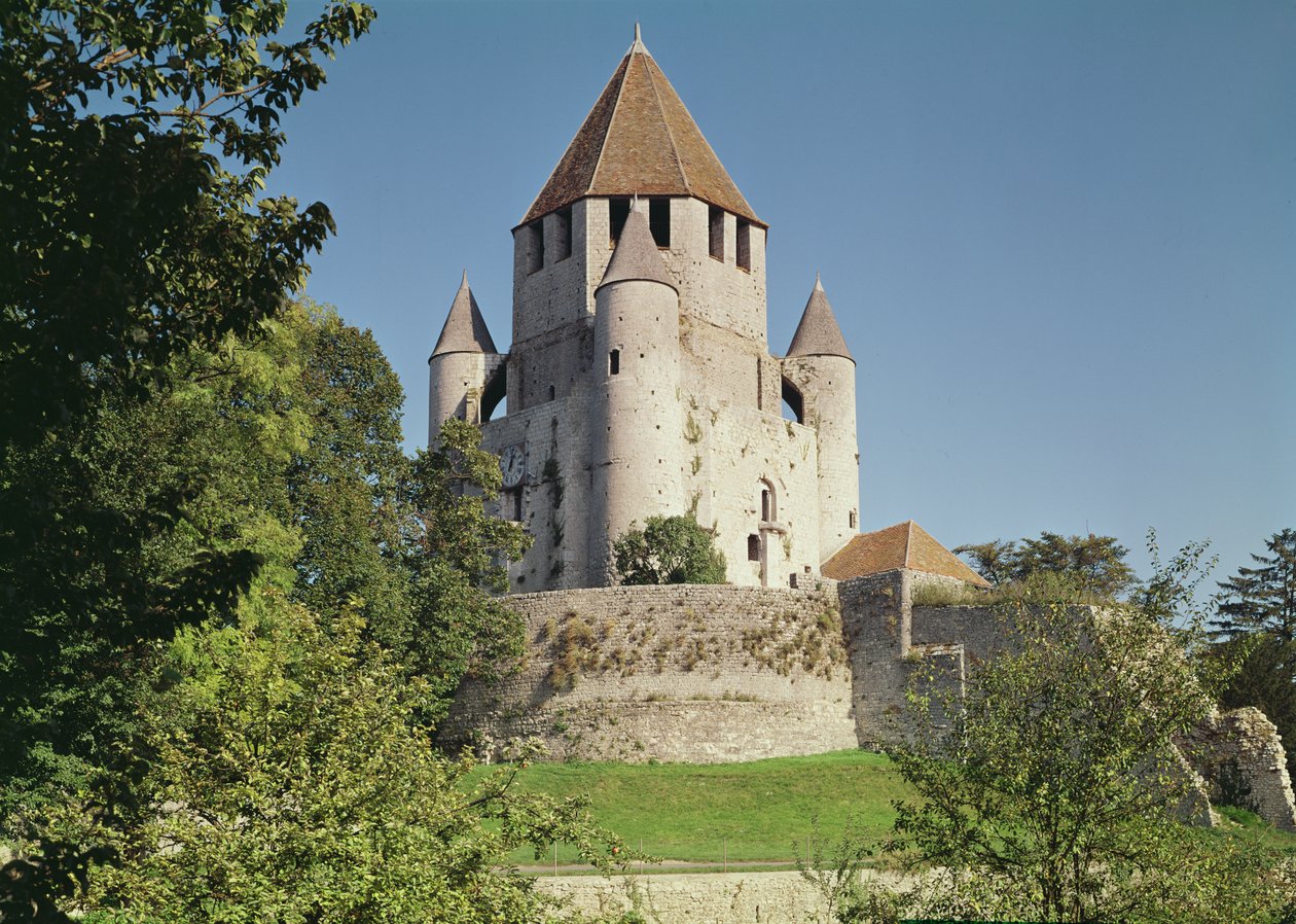 Utsikt över Tour de Cesar av French School