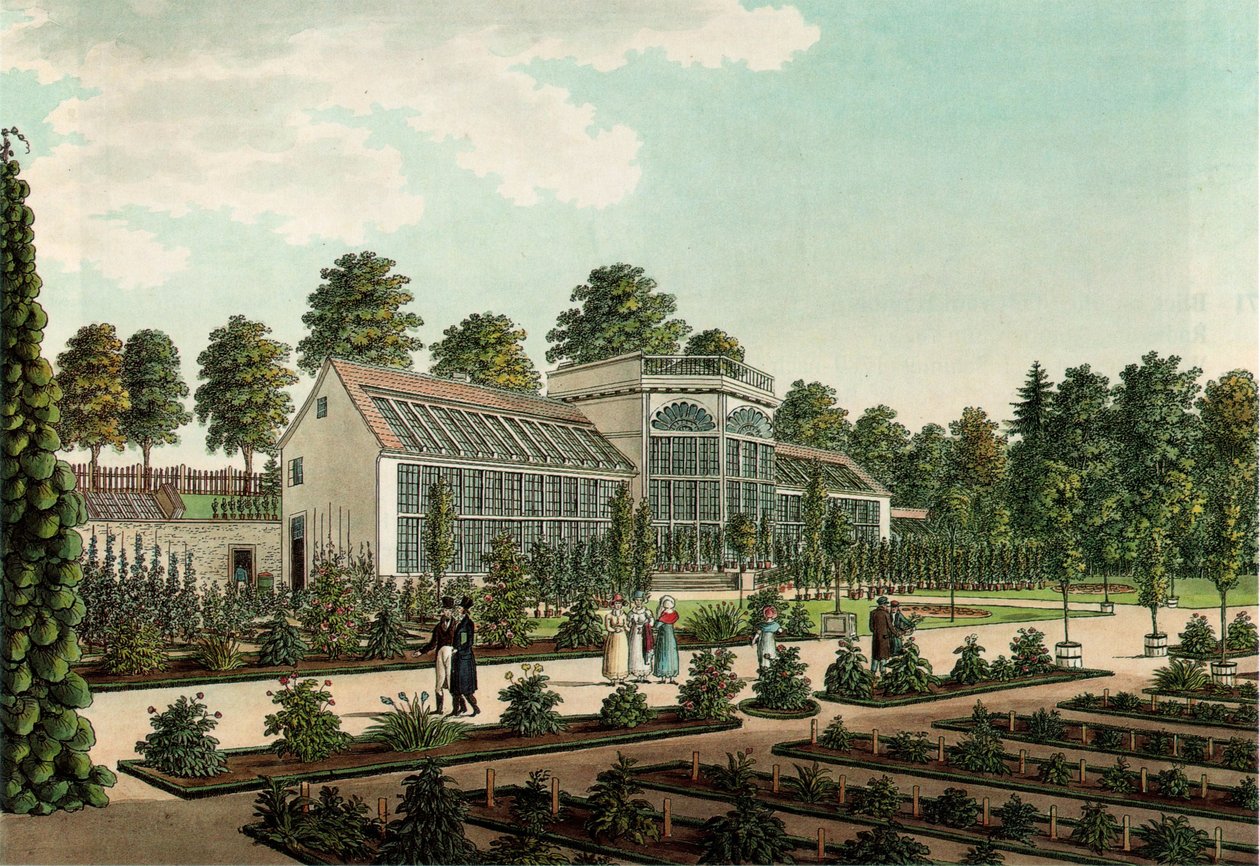 Treibhaus im alten botanischen Garten in Göttingen, im Hintergrund der Stadtwall. Kolorierte Radierung av Friedrich Besemann