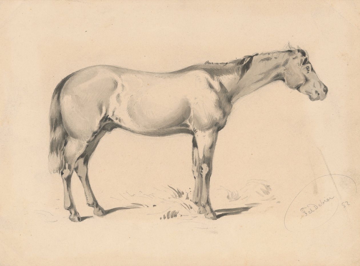 Studie av en häst i av Friedrich Carl von Scheidlin