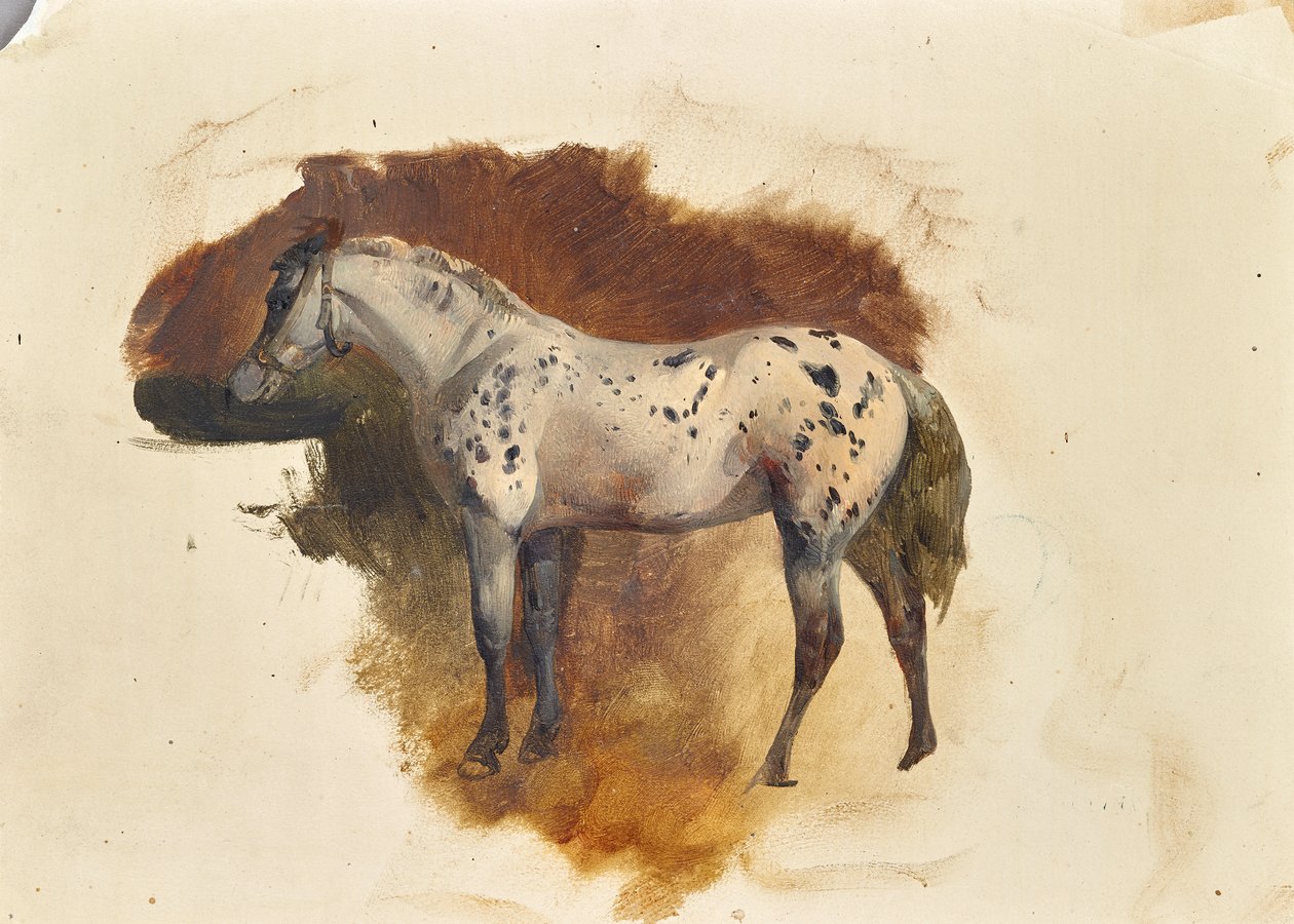 Fläckig mögel av Friedrich August Mathias Gauermann