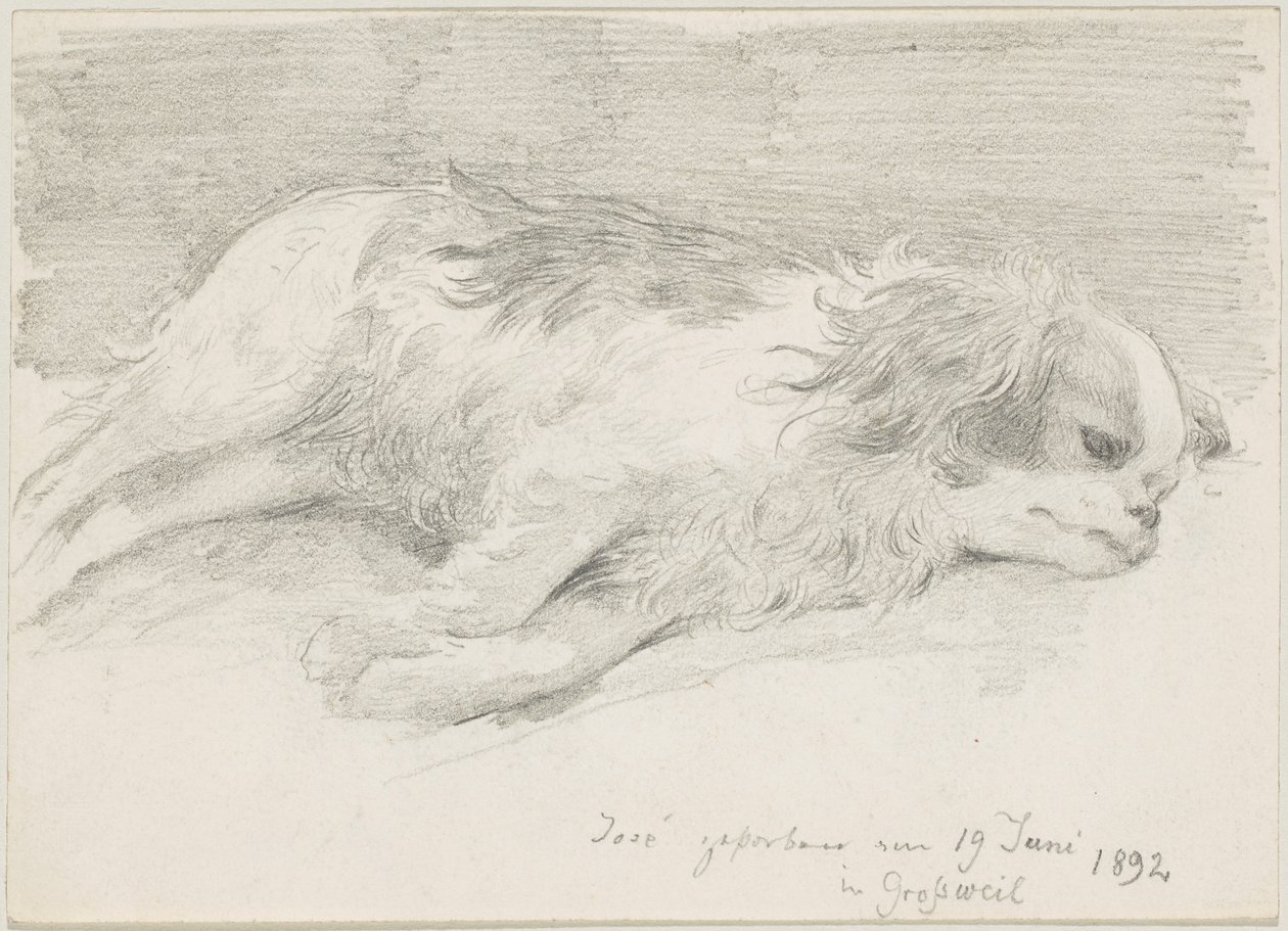hundstudier av Friedrich August von Kaulbach