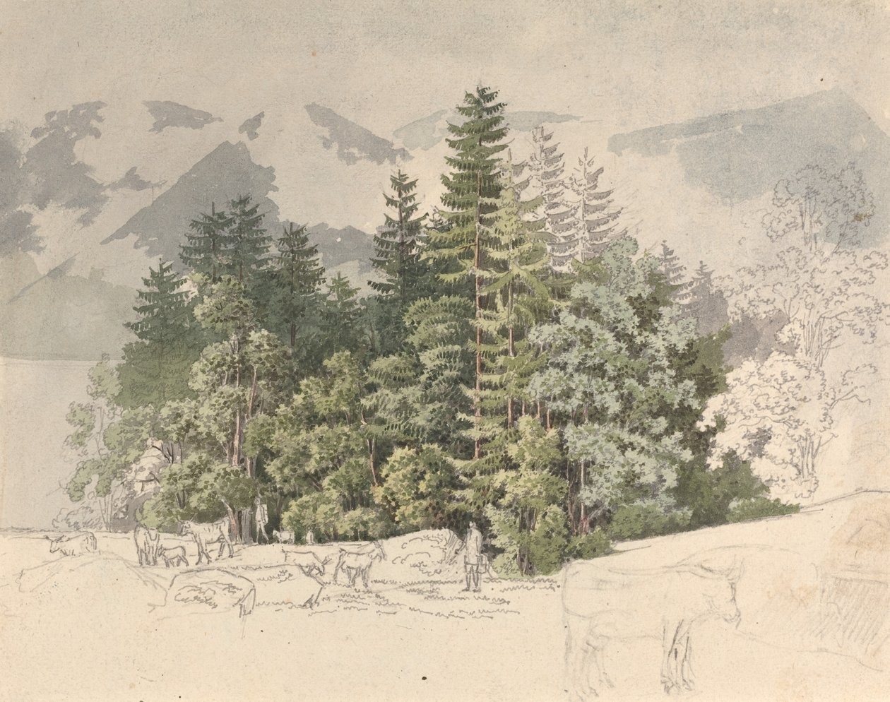 Alplandskap av Friedrich Salathé