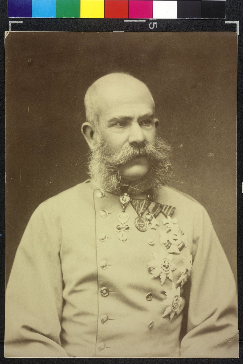 Franz Joseph I av Fritz Luckhardt