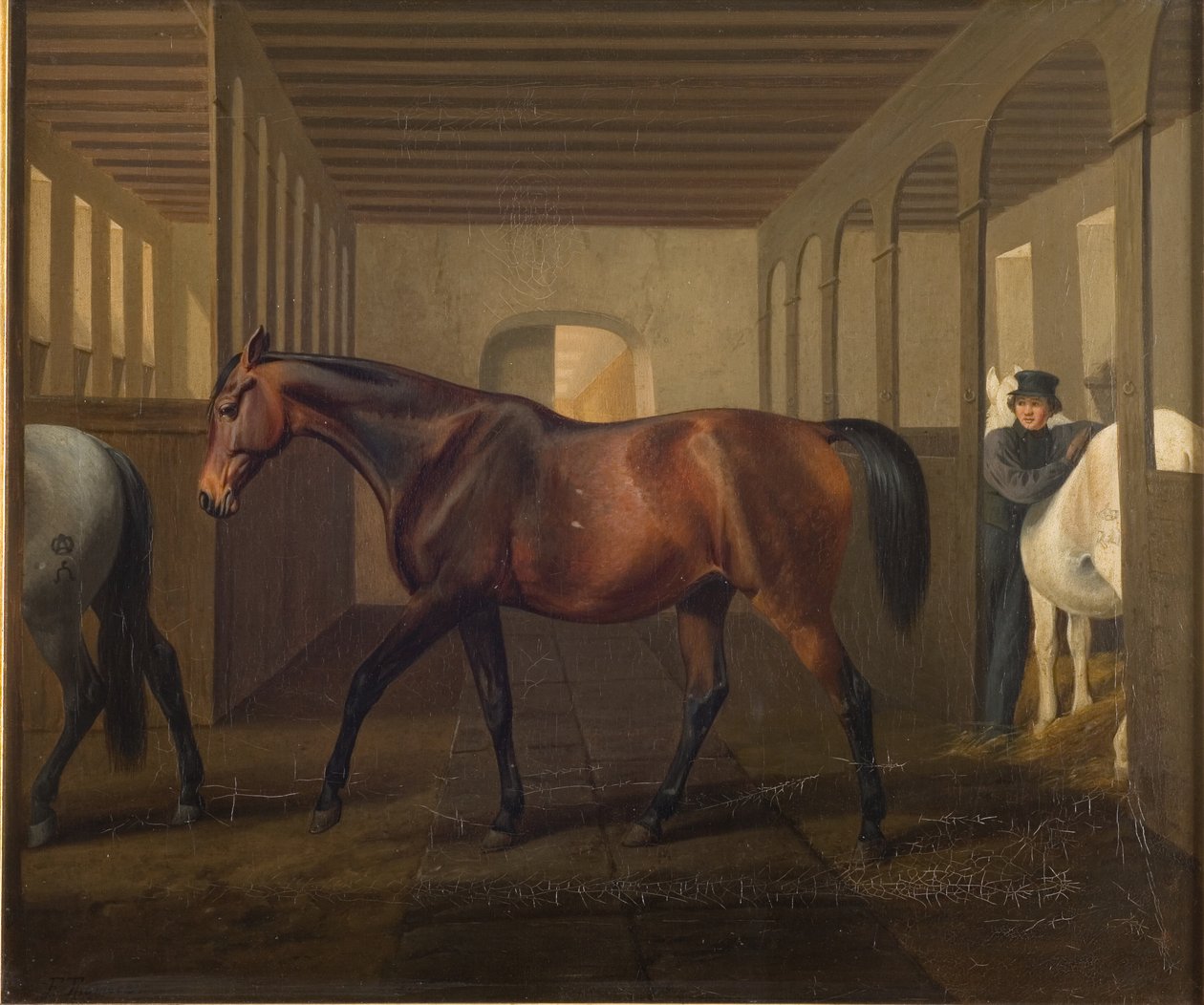 Rosetta av Fritz Thomsen