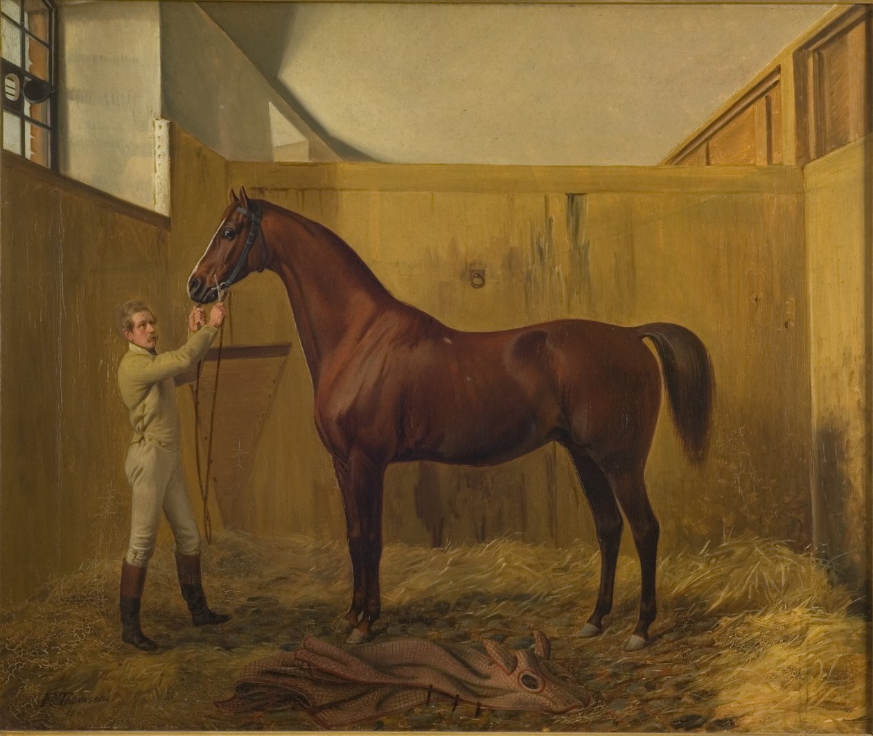 Rubiner av Fritz Thomsen