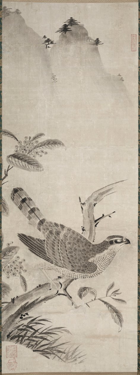 Hök av Fujiwara Masayoshi