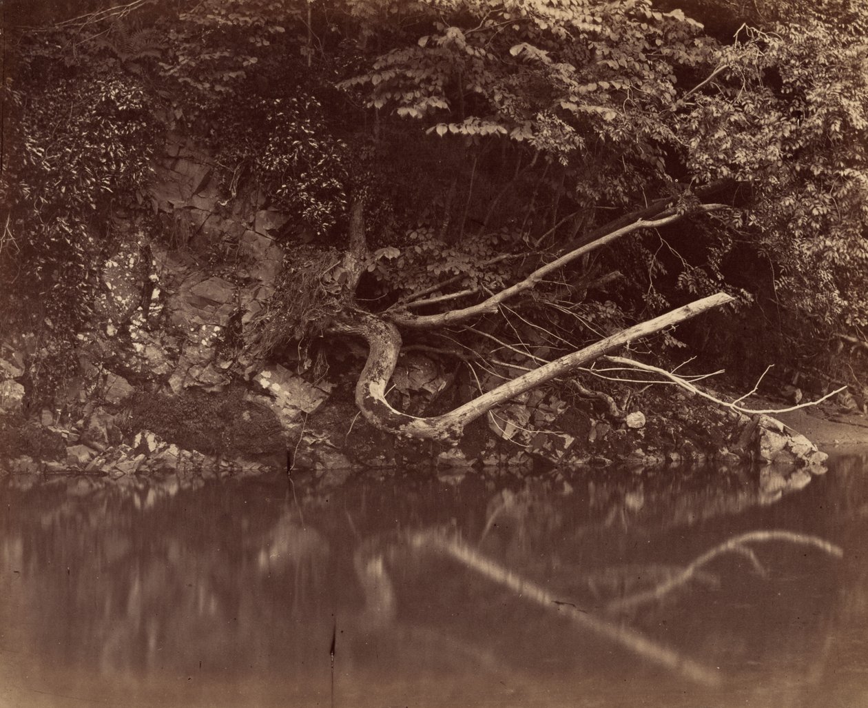 River Bank i Vale of Neath av G.B. Gething