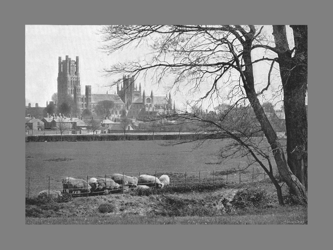 Ely-katedralen, ca 1900 av G. W. Wilson and Company